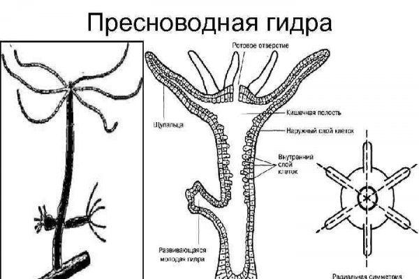 Нарко маркетплейсы